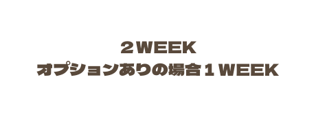 ２WEEK オプションありの場合１WEEK